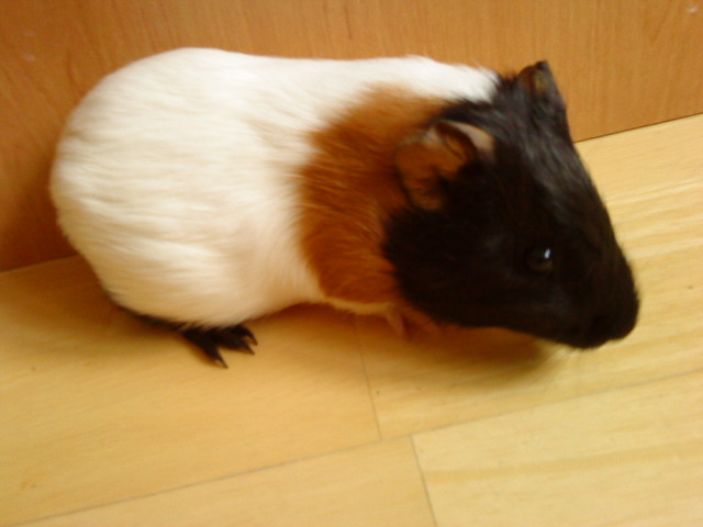 DSC01505.JPG