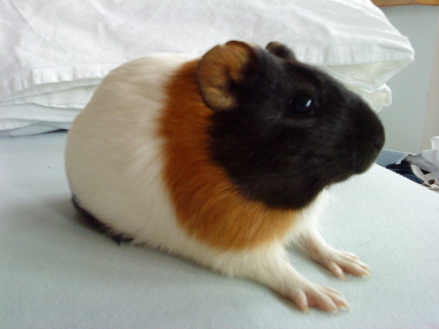 DSC01515.JPG