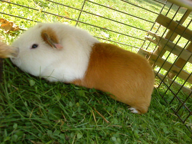 Fotky z mobilu 045.jpg