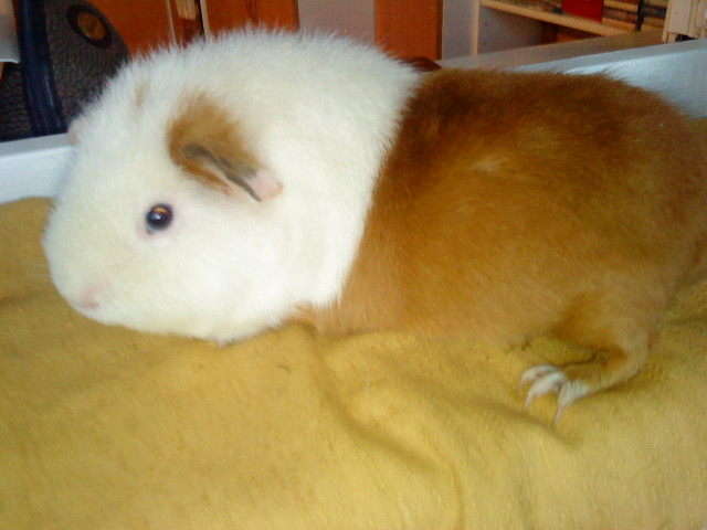 Fotky z mobilu 053.jpg