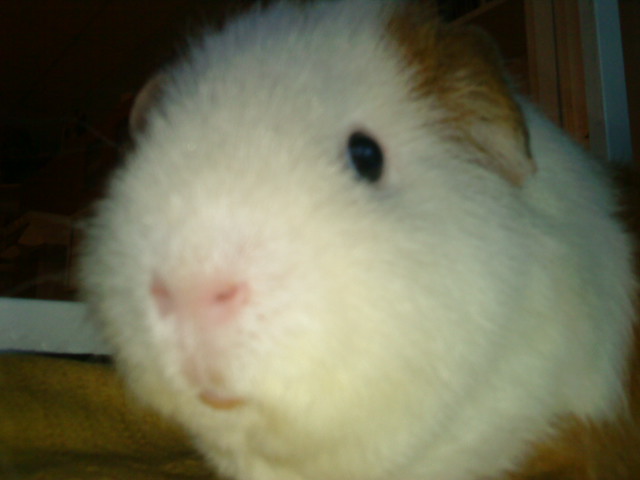 Fotky z mobilu 054.jpg