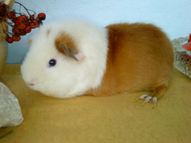 Fotky z mobilu 008.jpg